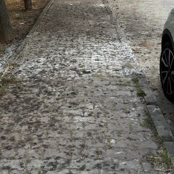 Sultanbeyli Belediyesi Arcan Sokak'ta Temizlik Ve Güvenlik Sorunları Acil Çözüm Bekliyor