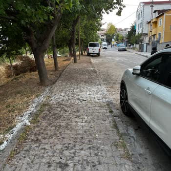 Sultanbeyli Belediyesi Arcan Sokak'ta Temizlik Ve Güvenlik Sorunları Acil Çözüm Bekliyor
