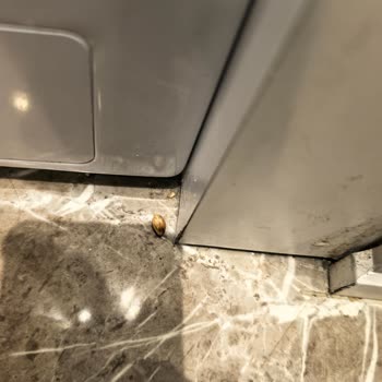 Narven Termalde Temizlik Ve Hizmette Büyük Hayal Kırıklığı