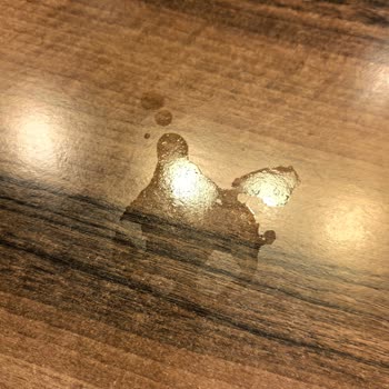 Narven Termalde Temizlik Ve Hizmette Büyük Hayal Kırıklığı