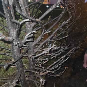 Gebze Belediyesi Arapçeşme Mahallesi'nde Güvenlik Ve Düzen Sorunları Giderilmiyor