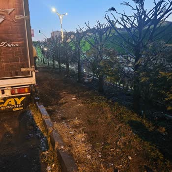 Gebze Belediyesi Arapçeşme Mahallesi'nde Güvenlik Ve Düzen Sorunları Giderilmiyor