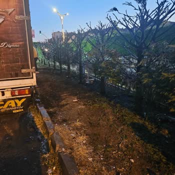 Gebze Belediyesi Mahallemizde Güvenlik Ve Düzen Sorunu Çığ Gibi Büyüyor