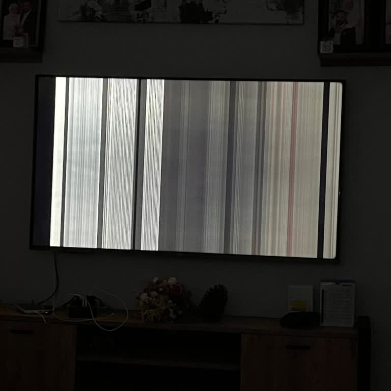 6 Ayda Panel Arızası, Belirsiz Servis Süreci