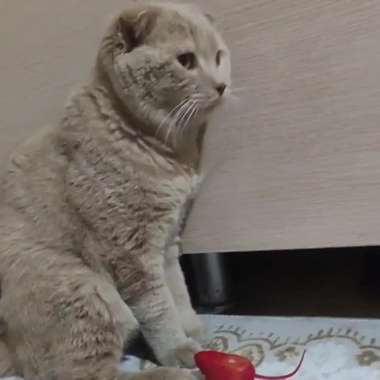 Kayıp İlanım Bir Türlü Yayınlanmıyor Zamanım Daralıyor