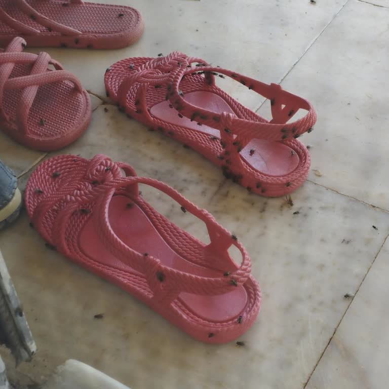 Seferihisar Belediyesi'nin Karasinek Sorununa Çözüm Üretememesi Ve İlgisizliği