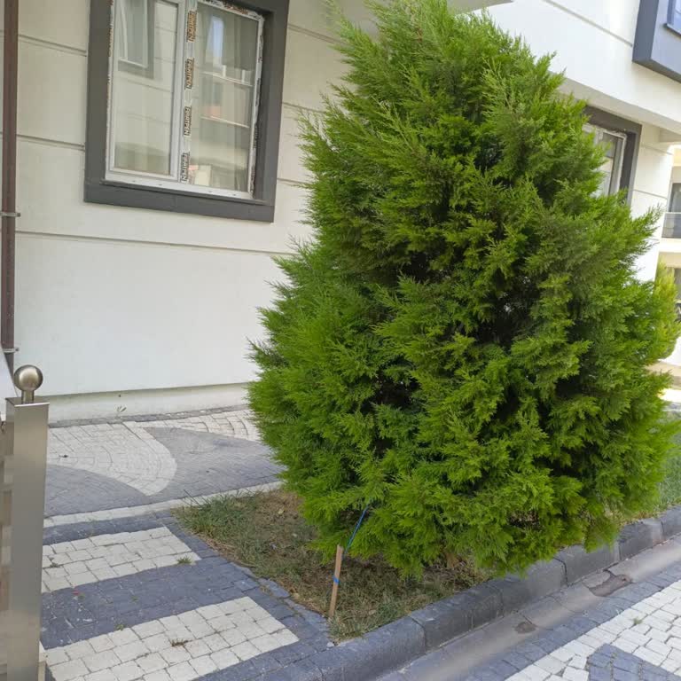 Çorlu’da Kaçsak Da Peşimizi Bırakmayan Kötü Koku Kabusu!