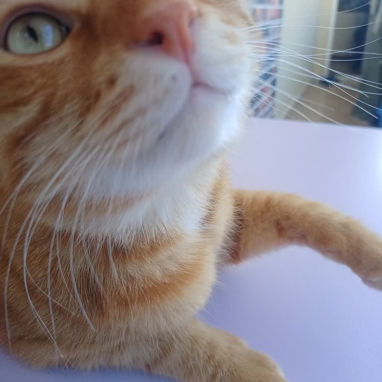 Stokta Olmayan Ürünün Ücreti Kesildi, İade Yapılmadı!