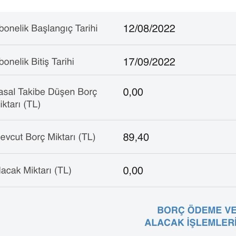 E-Devlet'te Görünen Vodafone Borcu Hakkında Bilgi Alamıyorum