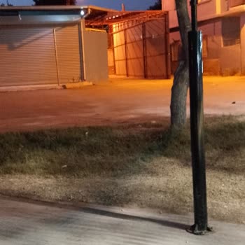 Fatih Mahallesi'nde Ruhsatsız Biber Çekim Tesisi Ve Belediyenin İlgisizliği