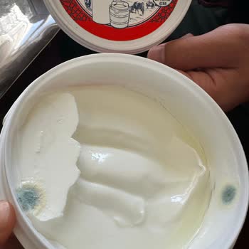 Son Kullanma Tarihi Geçmemiş Yoğurtta Küf Şoku Yaşadım