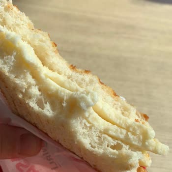 Yasa Tesisleri Tost Hayal Kırıklığı