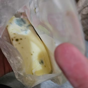 Kaşar Peyniri Ürünlerinde Kalite ve Tedarik Sorunları Hakkında Şikayet