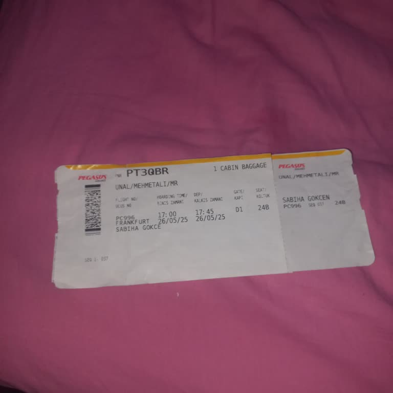 Pegasus verliert Gepäck nach Kanada-Flug, verlangt extra Geld, liefert nicht!