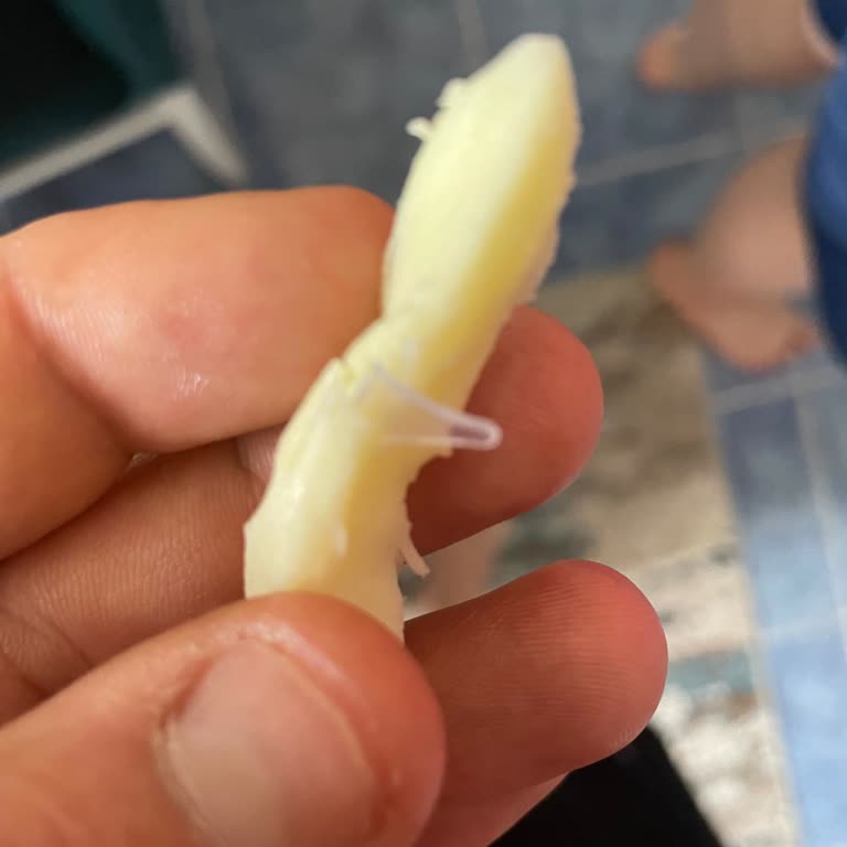 Tel Peynirinden Çıkan Plastik Parça İle Yaşadığım Hayal Kırıklığı