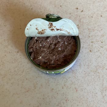 N D Kedi Mamasının Bozuk Çıkması Mağduriyet Yaşattı