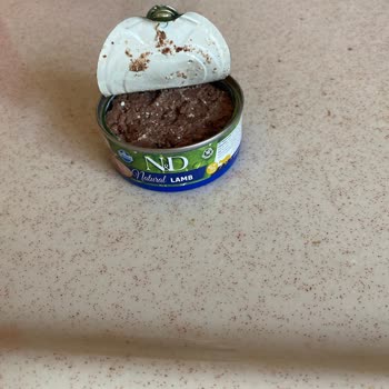 N D Kedi Mamasının Bozuk Çıkması Mağduriyet Yaşattı