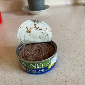 N D Kedi Mamasının Bozuk Çıkması Mağduriyet Yaşattı