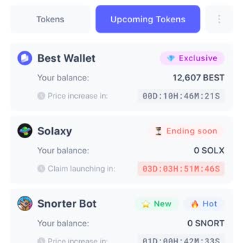 My 366,666 Solaxy Tokens Vanished from Best Wallet