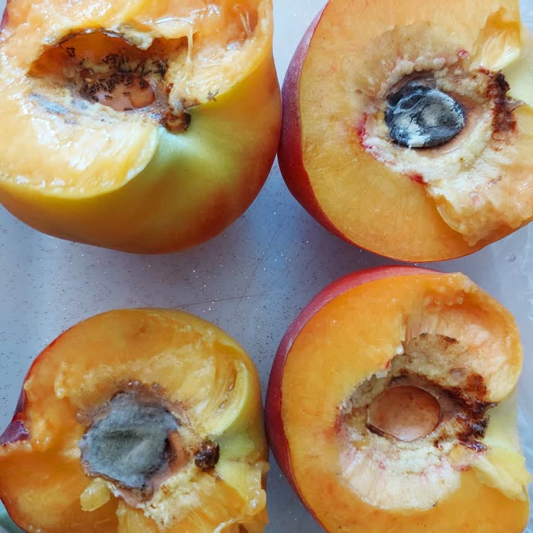 Aldığım Şeftaliler Ve Nektarinler Çürük Ve Böcekli Çıktı