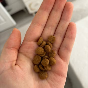 Virbac Kedi Mamasında Kalite Ve Orijinallik Endişesi Yaşadım