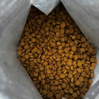 Virbac Kedi Mamasında Kalite Ve Orijinallik Endişesi Yaşadım