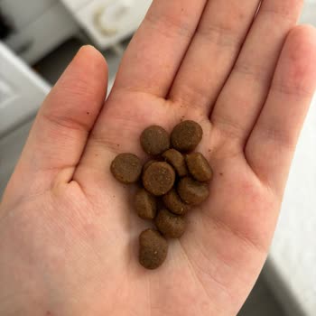 Virbac Kedi Mamasında Kalite Ve Orijinallik Endişesi Yaşadım