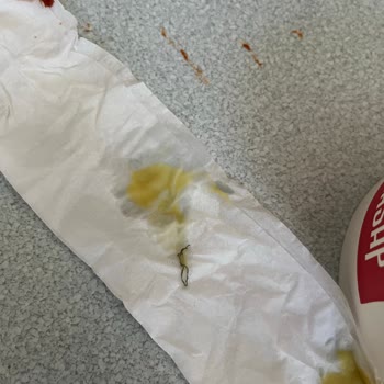 Çorbanın İçinden Yabancı Cisim Çıkması Endişesi