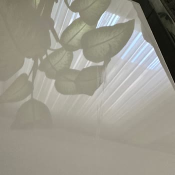 Modalife Hasarlı Ürünler ve 4 Aydır Çözülemeyen Değişim Süreci