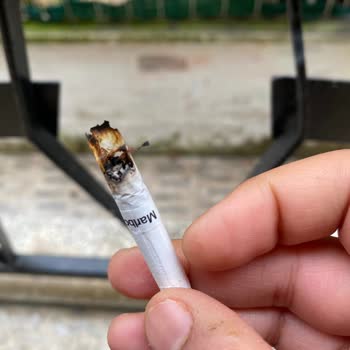 Marlboro Touch Blue Sigara Kalitesizliği: Ucu Düşüyor, İçinden Parça Çıkıyor