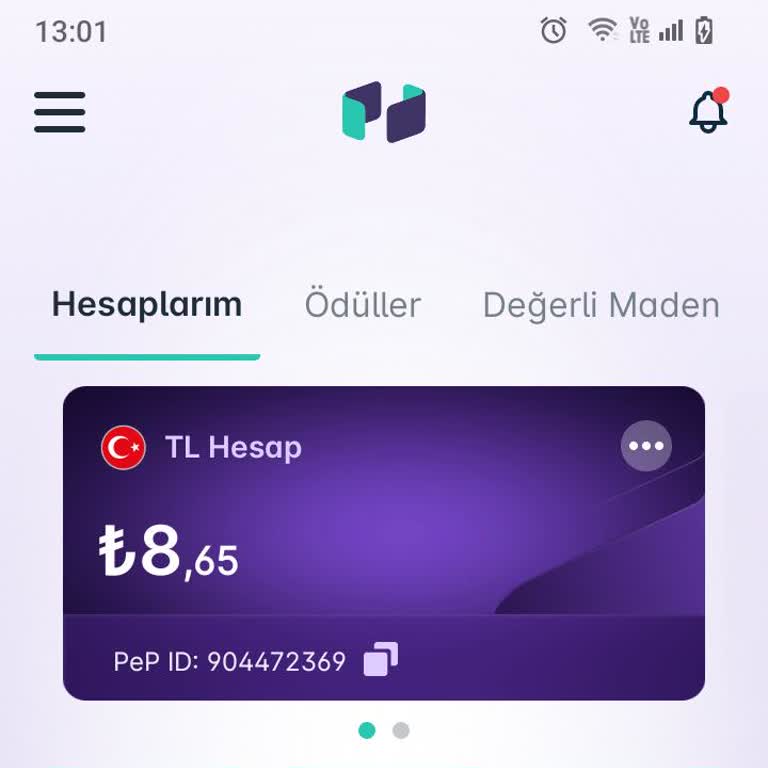 Pep Uygulamasında Para Transferi Gecikmesi Ve İletişim Sorunu