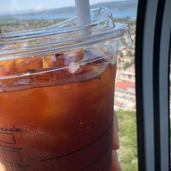 Starbucks'tan Aldığımız Kahvede Böcek Çıktı, Çözüm Sunulmadı