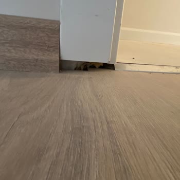 Suryapı Antalya'da Teslim Edilen Evde Bitmeyen Sorunlar Ve Yetersiz Satış Sonrası Destek