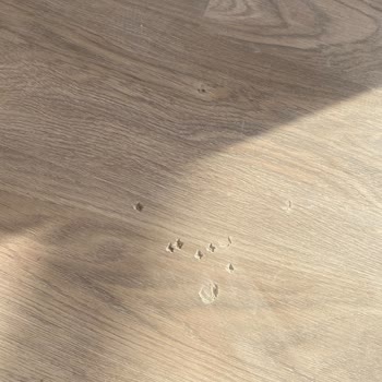 Suryapı Antalya'da Teslim Edilen Evde Bitmeyen Sorunlar Ve Yetersiz Satış Sonrası Destek
