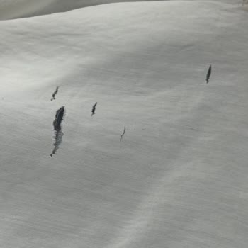 Aldığım Gömlek Yırtık Çıktı Mağaza Yardımcı Olmadı