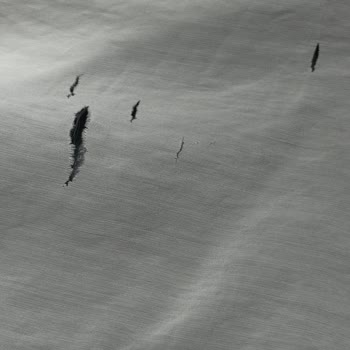 Aldığım Gömlek Yırtık Çıktı Mağaza Yardımcı Olmadı