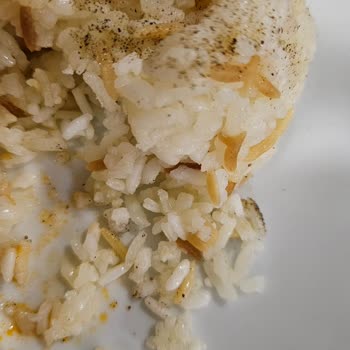 Doğu Karadeniz & Batum-Tour bei Jolly Tur gebucht, doch Busfahrt und Hotel Katastrophe!