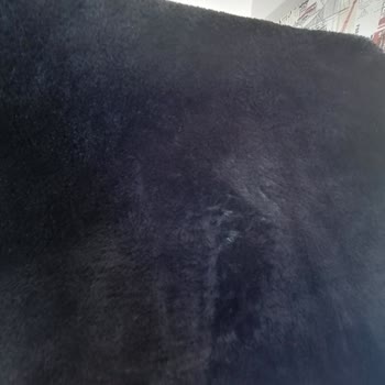 Aldığım Halıda Dökülme Ve Müşteri Hizmetlerinde Çözüm Bulamama Sorunu