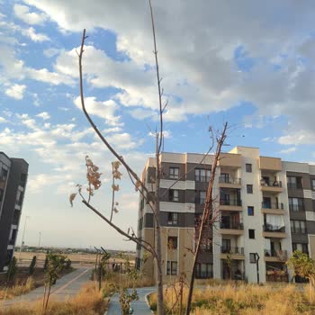 Aidat Ve Faturalarda Adaletsizlik İle Güneş Enerjisi Sorunu