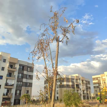 Aidat Ve Faturalarda Adaletsizlik İle Güneş Enerjisi Sorunu