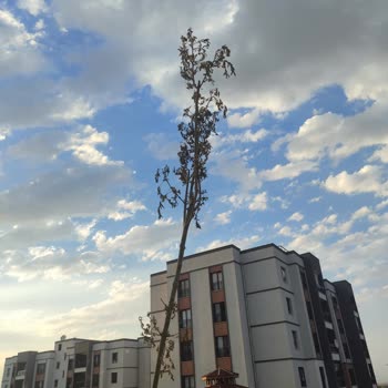 Aidat Ve Faturalarda Adaletsizlik İle Güneş Enerjisi Sorunu