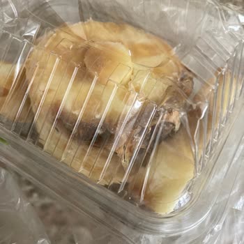 Çürük Ananas Teslimatı Ve Yetersiz Müşteri Desteği