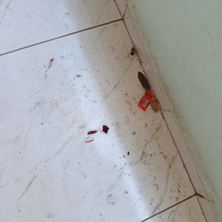 Balkonuma Sürekli Pislik Atılması Nedeniyle Mağduriyet Yaşıyorum