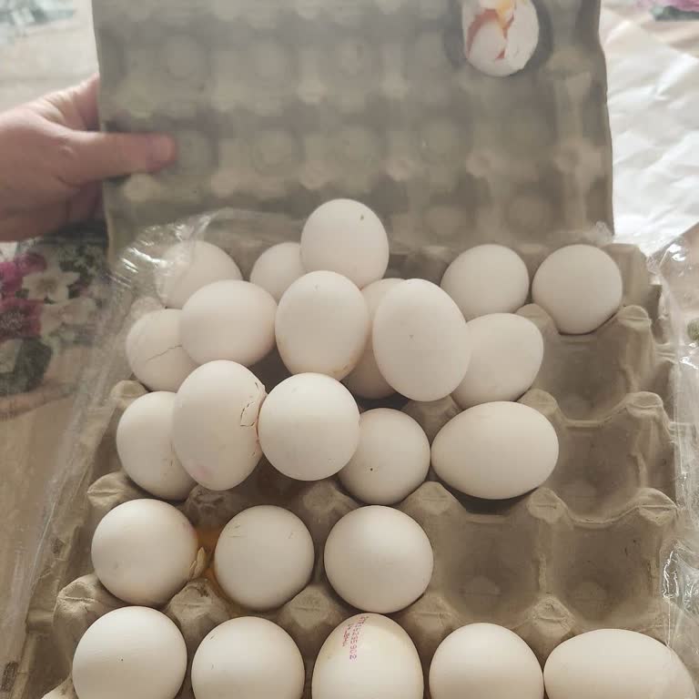 Kırık Yumurtalar Ve Yetersiz Müşteri Desteği Hayal Kırıklığı Yarattı