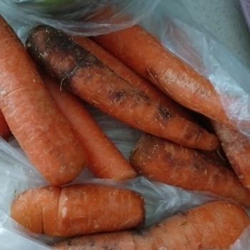 Siparişim Eksik Ve Bozuk Geldi, Müşteri Hizmetlerinden Dönüş Alamadım