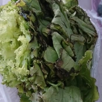 Siparişim Eksik Ve Bozuk Geldi, Müşteri Hizmetlerinden Dönüş Alamadım