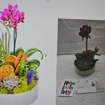 Taze Çiçek | Tazecicek.com Sipariş Edilen Çiçek Görselden Çok Farklı