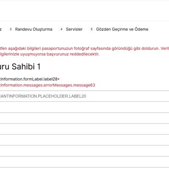 VFS Global Randevu Sistemindeki Teknik Hata Başvuru Yapmamı Engelliyor