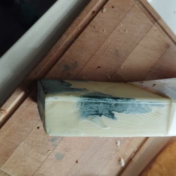 Altınkılıç Peynirin Küflenmesi