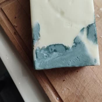 Altınkılıç Peynirin Küflenmesi